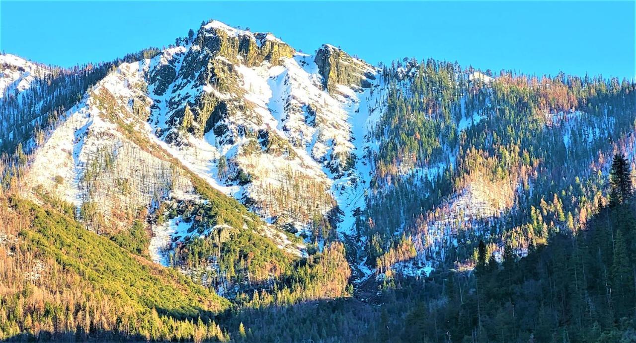 Sequoia Trails, Mountains, Fun & Relax Villa Ponderosa Bagian luar foto