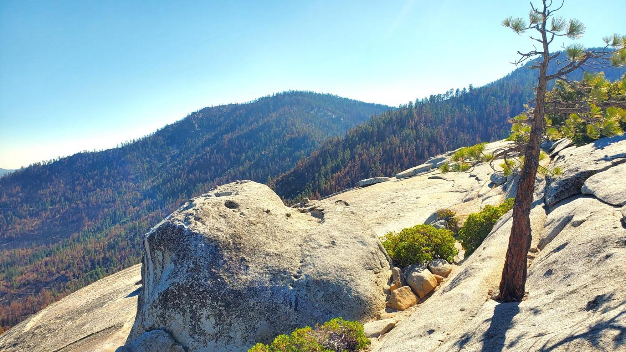 Sequoia Trails, Mountains, Fun & Relax Villa Ponderosa Bagian luar foto